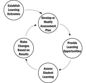 NewSchool Assessment Cycle
